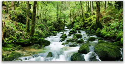 Produktbild von Glasbilder 120x60 Wandbild Druck auf Glas Wald See Steine Natur