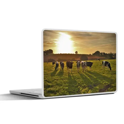 Produktbild von MuchoWow® Laptop Aufkleber Sticker Cover Kühe - Sonne - Licht 30x22 cm - Laptop-Sticker