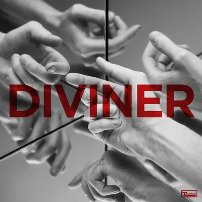 Obrázek produktu pro Hayden Thorpe: Diviner