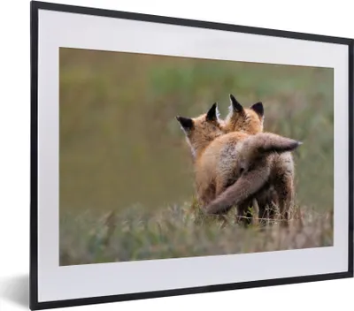 Produktbild von MuchoWow® MuchoWow® Gerahmtes Poster Fuchs - Gras - Tiere 40x30 cm - Poster mit zchwarzem Bilderrahmen - Bilderrahmen - Poster im Rahmen