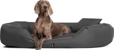 Productafbeelding van tierlando Hondenbed SAMMY, ovaal hondenbankje voor grote honden, stevig polyester, dikke rand - Afmetingen: 220x120 cm | Kleur: 02 Grafiet