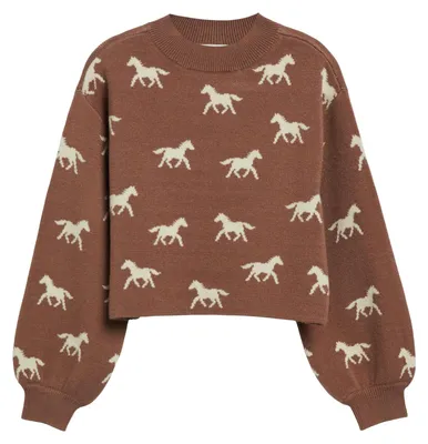 Image de Strickpullover