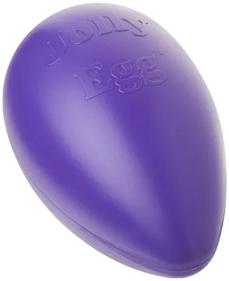 Produktbild von Jolly Pets Hundespielzeug Egg 30 cm violett