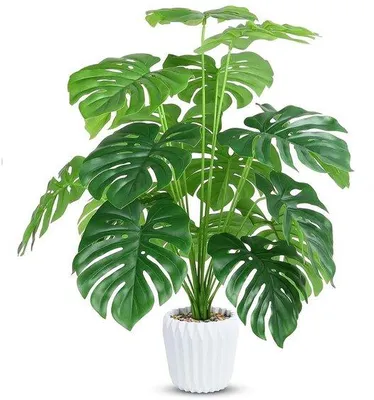Obrázok produktu pre Umelá rastlina Monstera 70 cm na dekoráciu kúpeľne alebo kancelárie