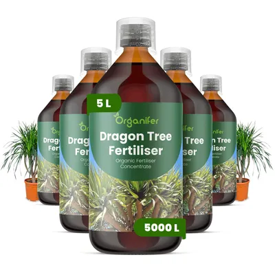 Obrázok produktu pre Dracéna, tekuté hnojivo, 5 x 1 liter – NPK 2-1-8 – Pre zelené rastliny – Pre zdravé listy a silný rast – Podporuje korene a vitalitu – Organický produkt