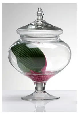 Produktbild von Glasdose, transparent, 20 x 10 x 10 cm
