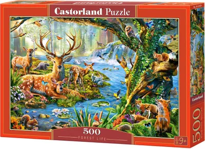Produktbild von Castorland Forest Life, 500 Stück(e), Flora & Fauna, 9 Jahr(e)