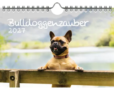 Produktbild von Bulldoggenzauber DIN A5 Kalender für 2027 Bulldoggen Hunde und Welpen - Seelenzauber