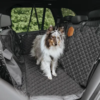 Produktbild von RUDELKÖNIG Rücksitzschutz Hund Auto – Wasserabweisende & kratzfeste Autoschondecke für Hunde