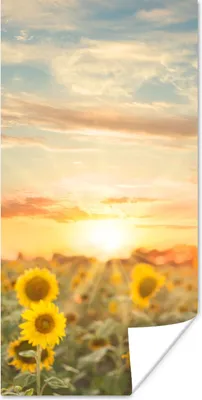 Produktbild von MuchoWow® Poster Sonnenblume - Sonne - Blumen 60x120 cm - Wandschmuck