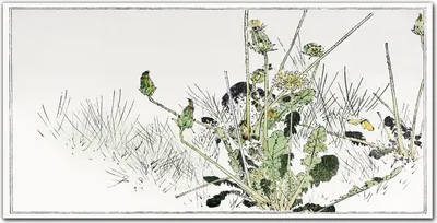 Produktbild von Coloray Bild aus Glas 140x70 wanddekoration wohnzimmer glasblock mit bild gehärtetes Glas Dekoration Küche - Blumenblätter Blumen