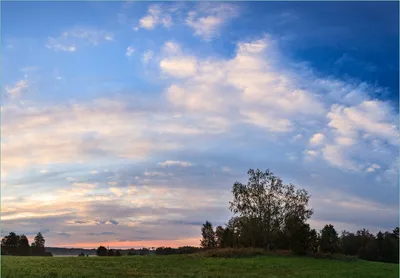 Produktbild von Wallario Fototapete Vliestapete, seidenmatte Oberfläche, einfache Verarbeitung, Größe 400 x 280 cm, Motiv Morgenhimmel über Wäldern und Wiesen