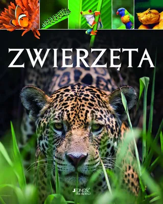 Zdjęcie produktu dla Zwierzęta
