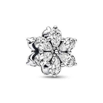 Produktbild von Pandora Charms Mod. Funkelnder Herbarium-Cluster