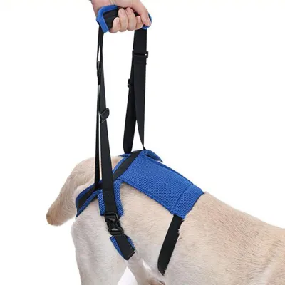 Produktbild von Verstellbares Hundegeschirr zur Hüftunterstützung
