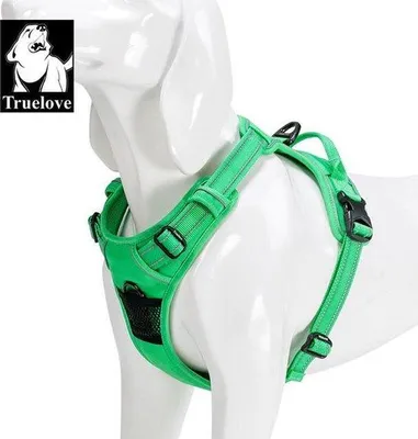 Immagine prodotto di Gilet di sicurezza per cani taglia grande, 69-81 cm, verde
