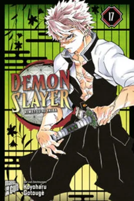 Image de Demon Slayer - Kimetsu no Yaiba 17