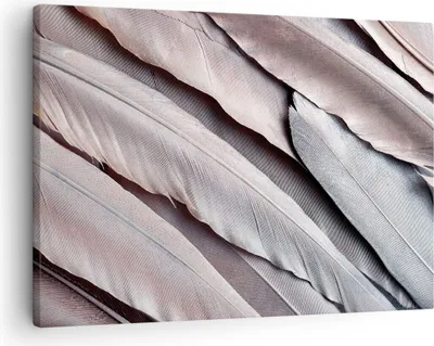 Produktbild von Bild auf Leinwand - Leinwandbild - Einteilig - Federn Flügel Feder - 70x50cm - Wand Bild - Wanddeko - Wandbilder - Leinwanddruck - Bilder - Wanddekoration - Leinwand bilder - Wandbild - AA70x50-5114
