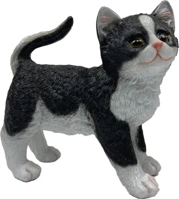 Produktbild von Prodex Katze Polystone Schwarz und Weiß 23 X 22 cm LG0586A1