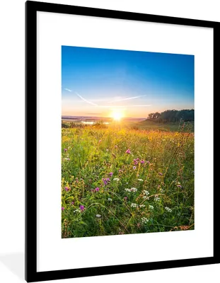 Produktbild von MuchoWow® Gerahmtes Poster Sonne - Gras - Blumen 60x80 cm - Poster mit Schwarzem Bilderrahmen Wandposter Rahmen Foto Bilder - Wohnzimmer - Dekorationen - Prämie