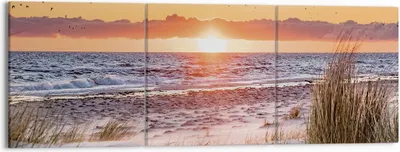 Produktbild von Bild auf Leinwand - Leinwandbild - 3 Teile - Sonne Strand Vögel - 150x50cm - Wand Bild - Wanddeko - Wandbilder - Leinwanddruck - Bilder - Wanddekoration - Leinwand bilder - Wandbild - CA150x50-4727