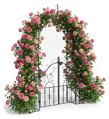 Produktbild von Relaxdays Rosenbogen mit Tür, Metall, Garten, H x B x T: 235 x 144 x 45 cm, Rankbogen für Kletterpflanzen, schwarz