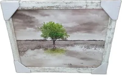 Zdjęcie produktu dla obraz 30x40cm DRZEWO | ZD241