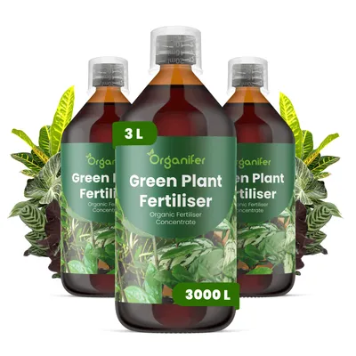 Obrázok produktu pre Green Plant Tekuté hnojivo 3x1 L – 2-1-8 (NPK) – Pre okrasné rastliny – Podporuje zdravé listy a stabilnú štruktúru – Organický produkt