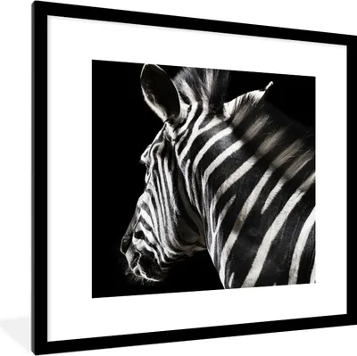 Produktbild von MuchoWow® MuchoWow® Gerahmtes Poster Zebra - Tier - Weiß 40x40 cm - Poster mit zchwarzem Bilderrahmen - Poster - Plakat im Rahmen