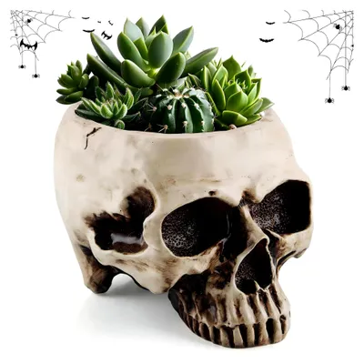 Produktbild von Sukkulenten-Schale, Topf Schädelköpfe, Halloween-Bonbons Skelett, dekorativer Totenkopf-Blumentopf aus Harz