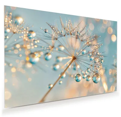 Produktbild von Glasbild 45x30cm in XXL für Wohnzimmer, Schlafzimmer Motiv Pusteblume Wassertropfen