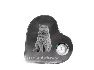 Produktbild von Selkirk Rex Katze Kurzhaar - Kristalluhr mit Katzenbild, Herzregal-Uhr, personalisierte Standuhr von Art-Dog.