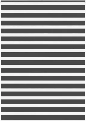 Produktbild von Schlichtes Zebrarollo Schwarz 160x230 cm Stoffbreite 155,9 cm Polyester - Rollos CC315474