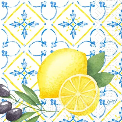 Zdjęcie produktu dla Serwetki higieniczne Duni 3-warstwowe 33 x 33 cm Mediterrian 50 szt