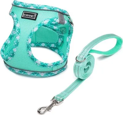 Image de Harnais pour petit chien, réfléchissant, respirant, anti-traction, taille S, vert clair