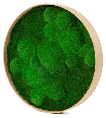 Produktbild von Rundes Moosbild Fifty Fifty Design (⌀40 cm, natur)