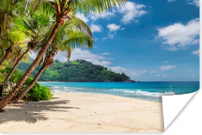 Produktbild von MuchoWow® Poster Strand - Meer - Insel - Urlaub 120x80 cm - Bilder