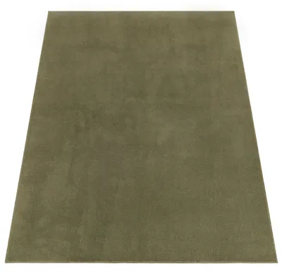 Produktbild von Paco Home Waschbarer Teppich Wohnzimmer Kurzflor Einfarbiger Moderner Stil Weich 300x400 cm