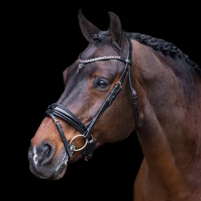 Image de Bridon Imperial Riding IRHOlympia noir-or rose, taille : poney