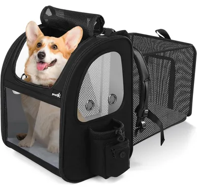 Produktbild von Erweiterbarer Haustierrucksack XL Grau mit Transparentem Fenster für Hunde & Katzen bis 10 kg
