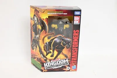 Image de TRA Cybertron Shadow Panther F0681 /8