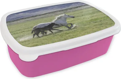 Produktbild von KitchenYeah® Lunchbox Brotzeit Brotdose 17x11 cm Pferde - Fohlen - Braun Kinder Brotzeitdose - Lunchpaket - Brotkasten  - Sandwich Box
