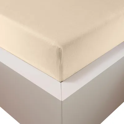 Produktbild von Traumschloss Premium Plus Edel-Jersey Spannbettlaken 90-120 x 200-220 cm creme 260g/m², 47,5% Mako Baumwolle, 47,5% Lyocell, 5% Elasthan