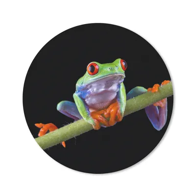 Produktbild von MuchoWow® Mauspad Mousepad Frosch - Pflanze - Schwarz 20x20 cm - Mousepads - Maus Mat - Pad - Mausunterlage - Schreibtischmatte