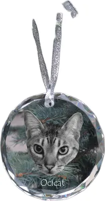 Produktbild von Ocicat - Kristallkugel mit Foto, Katzenfoto im Kristall, personalisierter Weihnachtsbaumanhänger von Art-Dog.