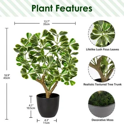 Produktbild von Famanu Kunstpflanze Ficus - 43 cm in schwarzem Topf