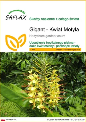 Zdjęcie produktu dla SAFLAX - Gigant - Kwiat Motyla - 10 Nasiona - Hedychum gardnerianum