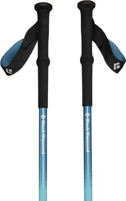 A pair of trekking poles against a white background.