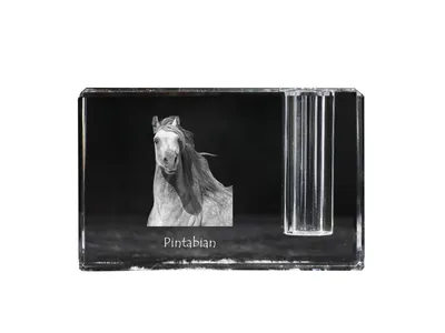 Image de Art-Dog Porte-stylo – Pintabian