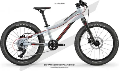 Image de Centurion R'Bock 20 blanc-argent 20" Blanc-argent - VTT léger pour enfants, pour...